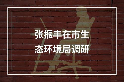 张振丰在市生态环境局调研