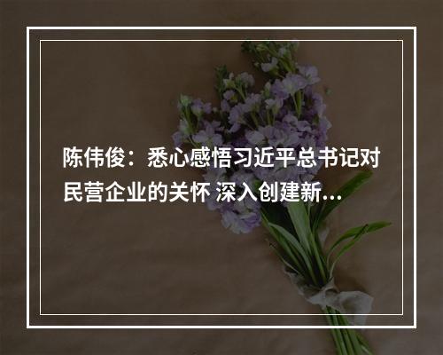 陈伟俊：悉心感悟习近平总书记对民营企业的关怀 深入创建新时代“两个健康”先行区