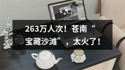 263万人次！苍南“宝藏沙滩”，太火了！