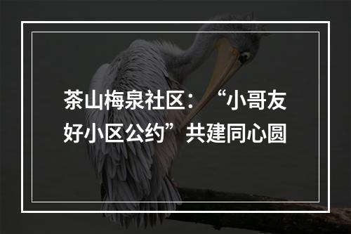 茶山梅泉社区：“小哥友好小区公约”共建同心圆