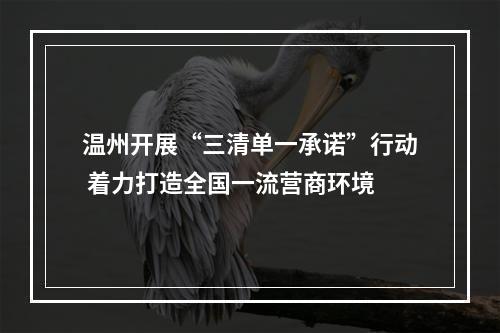 温州开展“三清单一承诺”行动 着力打造全国一流营商环境