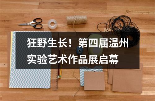 狂野生长！第四届温州实验艺术作品展启幕