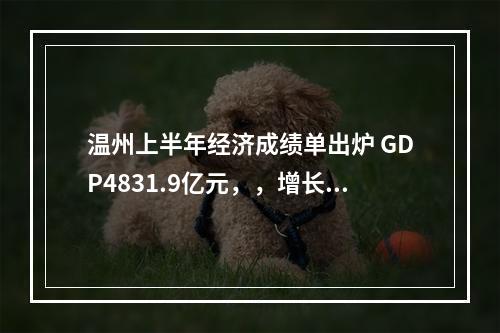 温州上半年经济成绩单出炉 GDP4831.9亿元，，增长6.0%！