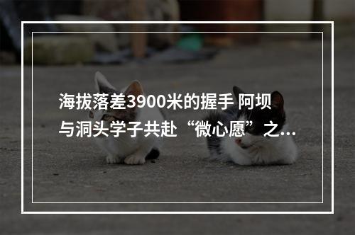 海拔落差3900米的握手 阿坝与洞头学子共赴“微心愿”之约