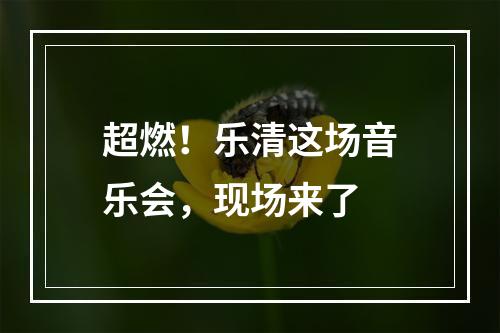 超燃！乐清这场音乐会，现场来了