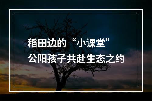 稻田边的“小课堂” 公阳孩子共赴生态之约