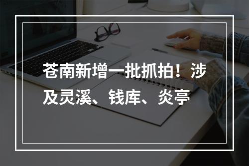 苍南新增一批抓拍！涉及灵溪、钱库、炎亭