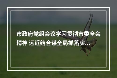 市政府党组会议学习贯彻市委全会精神 远近结合谋全局抓落实促发展