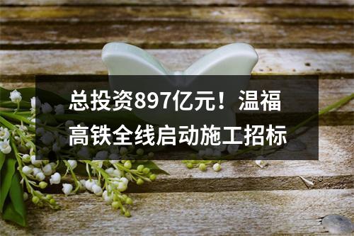 总投资897亿元！温福高铁全线启动施工招标