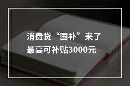 消费贷“国补”来了 最高可补贴3000元