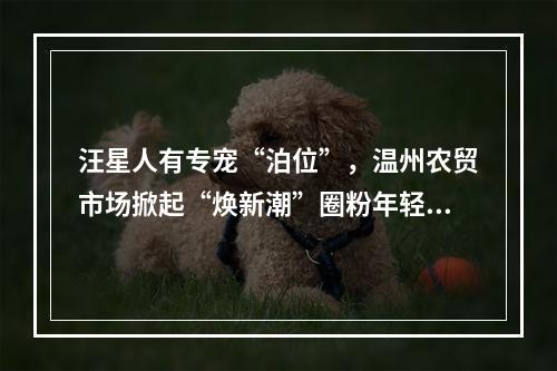 汪星人有专宠“泊位”，温州农贸市场掀起“焕新潮”圈粉年轻人