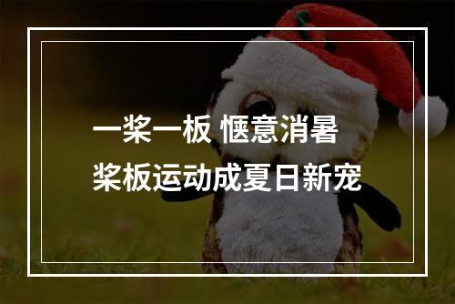 一桨一板 惬意消暑 桨板运动成夏日新宠