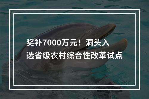 奖补7000万元！洞头入选省级农村综合性改革试点