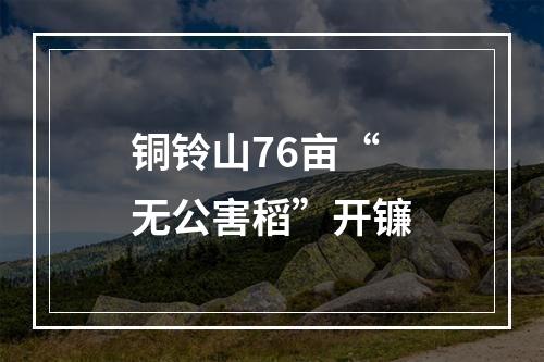 铜铃山76亩“无公害稻”开镰