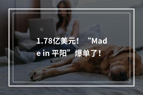 1.78亿美元！“Made in 平阳”爆单了！