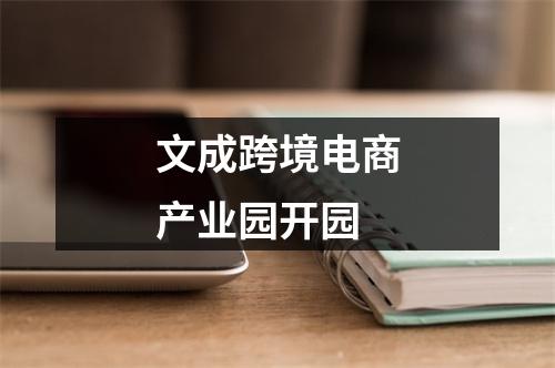 文成跨境电商产业园开园