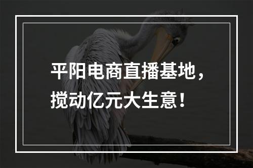 平阳电商直播基地，搅动亿元大生意！