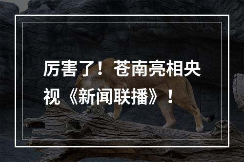 厉害了！苍南亮相央视《新闻联播》！