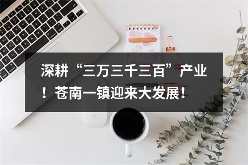 深耕“三万三千三百”产业！苍南一镇迎来大发展！