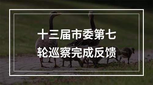 十三届市委第七轮巡察完成反馈