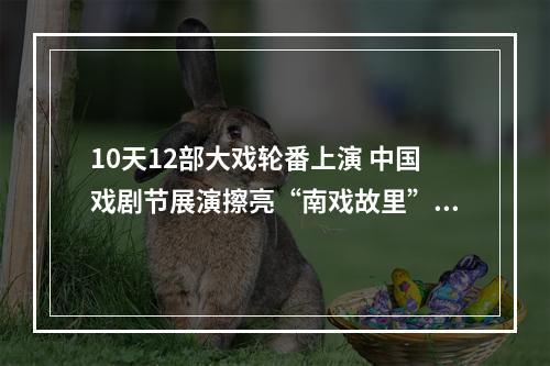 10天12部大戏轮番上演 中国戏剧节展演擦亮“南戏故里”金名片