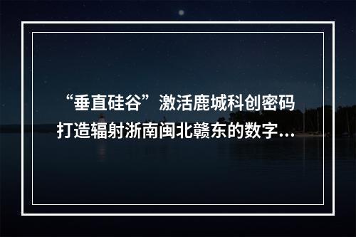 “垂直硅谷”激活鹿城科创密码 打造辐射浙南闽北赣东的数字产业新高地