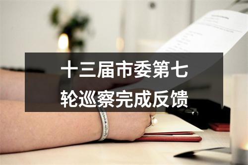 十三届市委第七轮巡察完成反馈