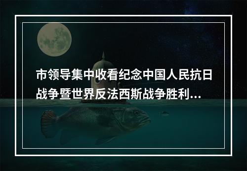市领导集中收看纪念中国人民抗日战争暨世界反法西斯战争胜利80周年大会实况直播