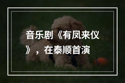 音乐剧《有凤来仪》，在泰顺首演