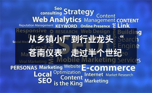 从乡镇小厂到行业龙头 “苍南仪表”走过半个世纪