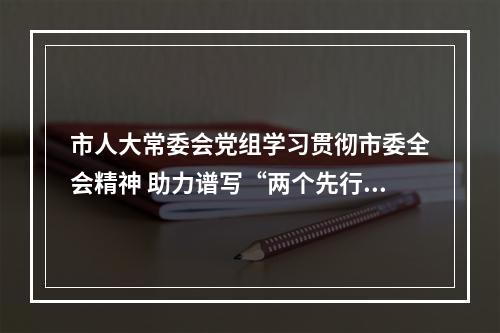 市人大常委会党组学习贯彻市委全会精神 助力谱写“两个先行”温州篇章