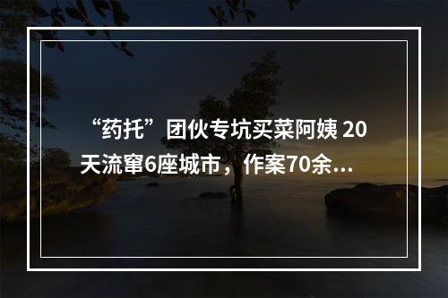 “药托”团伙专坑买菜阿姨 20天流窜6座城市，作案70余起