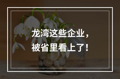 龙湾这些企业，被省里看上了！