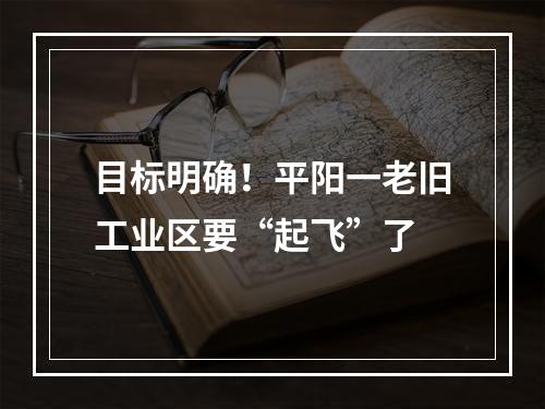 目标明确！平阳一老旧工业区要“起飞”了