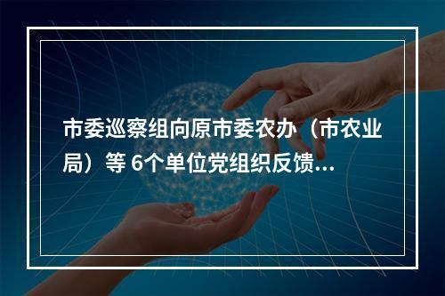 市委巡察组向原市委农办（市农业局）等 6个单位党组织反馈巡察情况