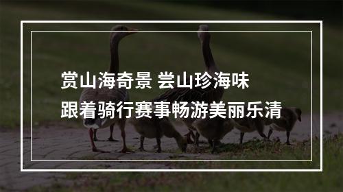 赏山海奇景 尝山珍海味 跟着骑行赛事畅游美丽乐清