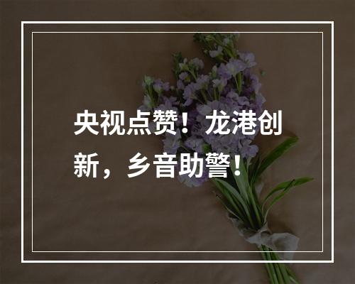 央视点赞！龙港创新，乡音助警！