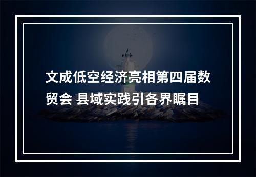 文成低空经济亮相第四届数贸会 县域实践引各界瞩目