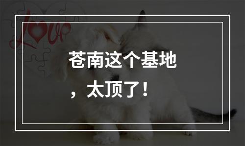 苍南这个基地，太顶了！