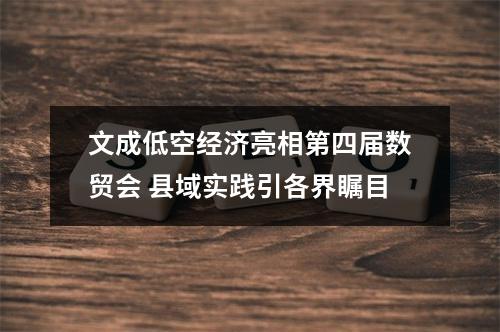 文成低空经济亮相第四届数贸会 县域实践引各界瞩目