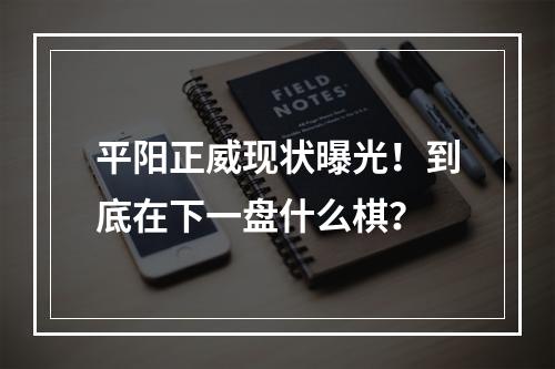 平阳正威现状曝光！到底在下一盘什么棋？