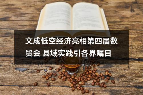 文成低空经济亮相第四届数贸会 县域实践引各界瞩目