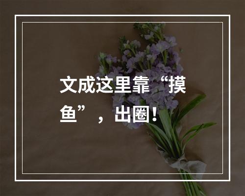 文成这里靠“摸鱼”，出圈！