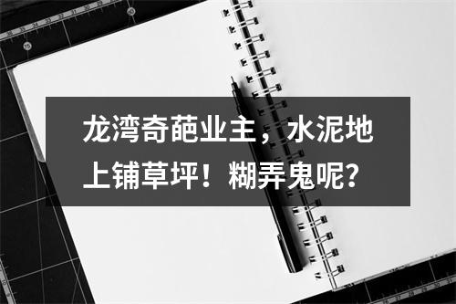 龙湾奇葩业主，水泥地上铺草坪！糊弄鬼呢？
