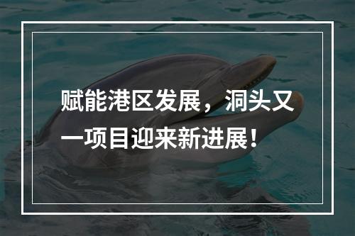 赋能港区发展，洞头又一项目迎来新进展！