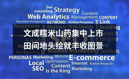 文成糯米山药集中上市 田间地头绘就丰收图景