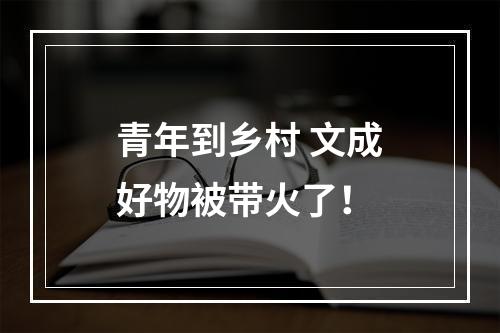 青年到乡村 文成好物被带火了！