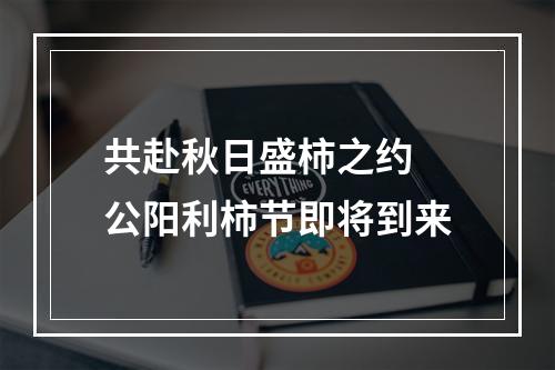 共赴秋日盛柿之约 公阳利柿节即将到来