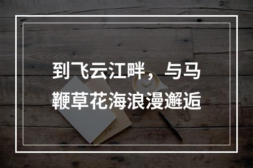 到飞云江畔，与马鞭草花海浪漫邂逅