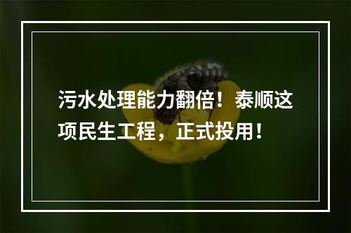 污水处理能力翻倍！泰顺这项民生工程，正式投用！